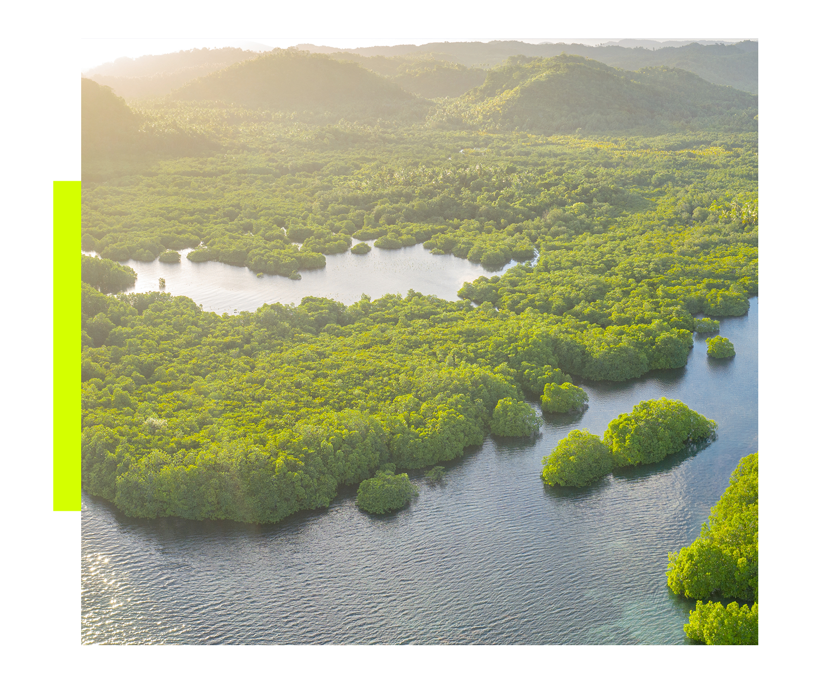 Amazônia — território da COP30
